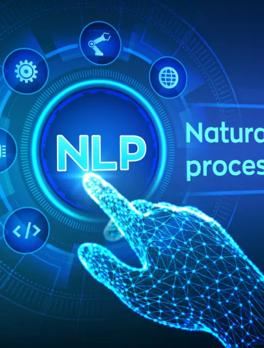 Natural Language Processing (NLP)