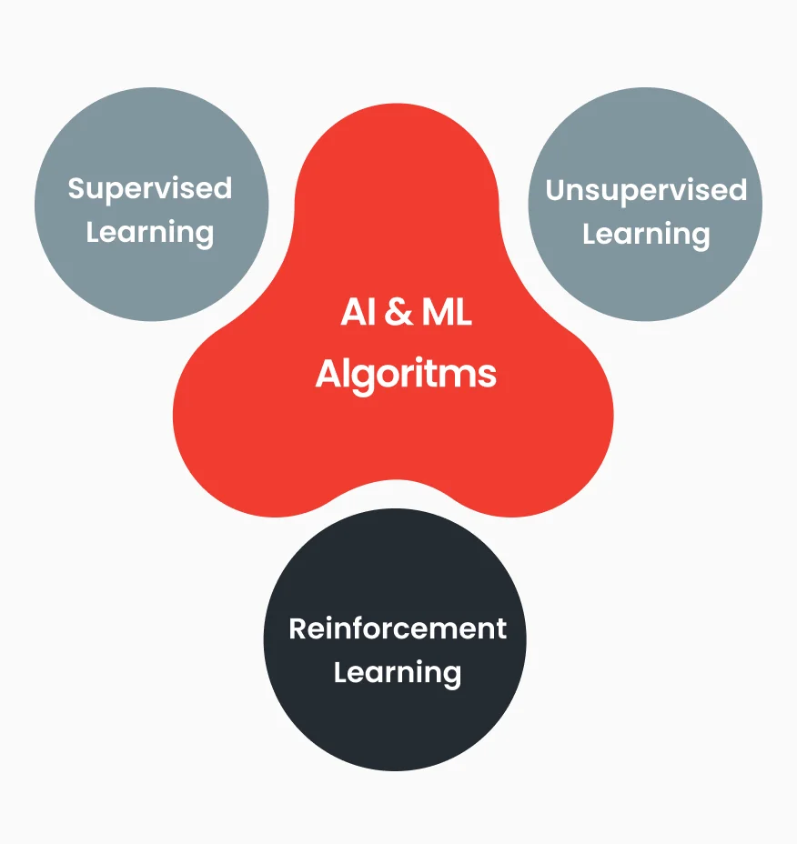 AI & ML Algorithms
