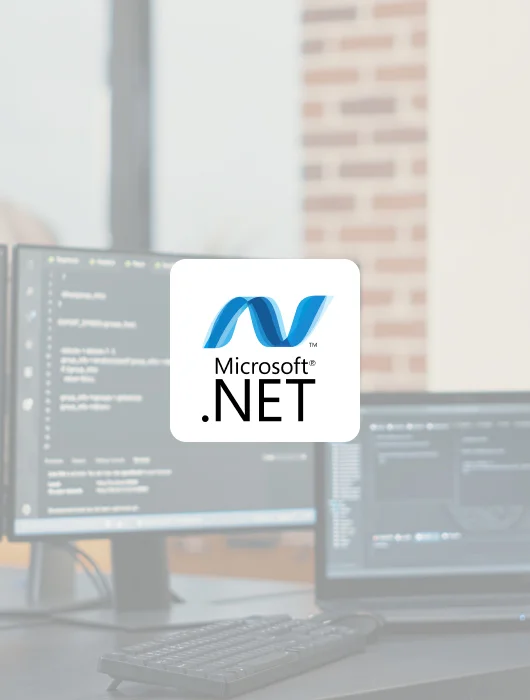 Hire .NET Developer India